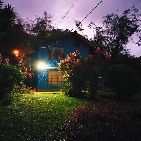 El Colibri Azul Villa Quito Dış mekan fotoğraf